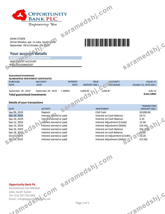 South Sudan Opportunity Bank statement template in Word and PDF format